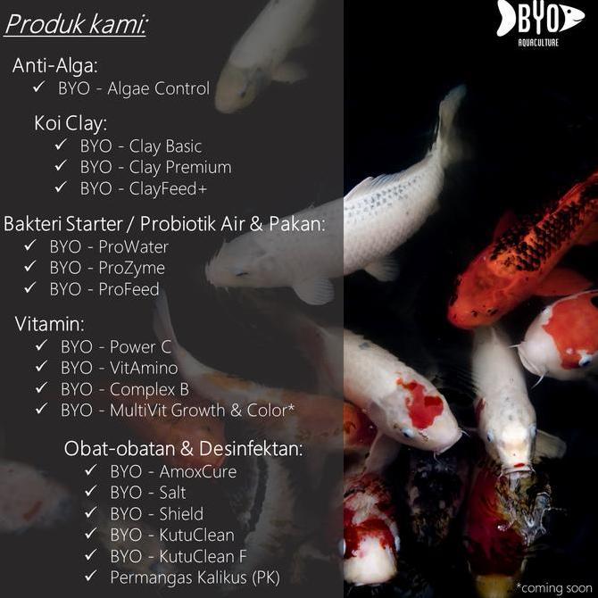 Fishboy- Clay Koi - Penjernih Kolam Koi / Clay Basic (Murni Clay)