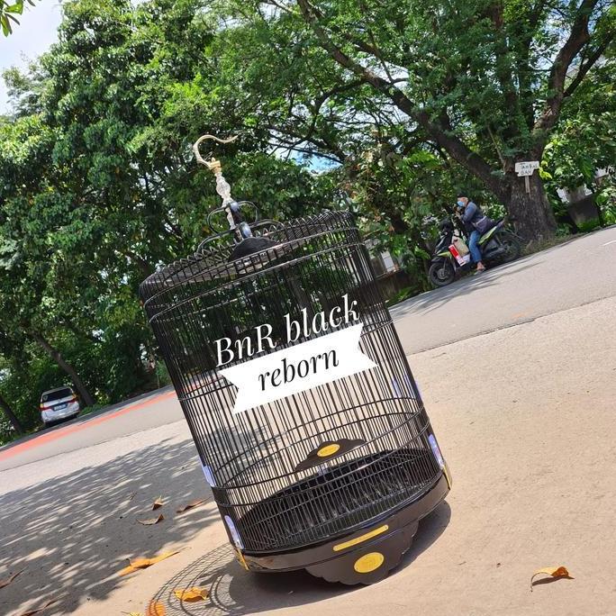 Bridwoi- Bnr Murai Reborn