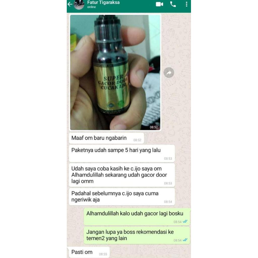 Bridwoi- Penggacor Cucak Ijo Super Gacor Door Cucak Ijo Juara Lomba Gantang