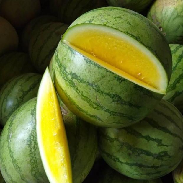 Bnbx- Semangka Kuning Non Biji 1 Buah
