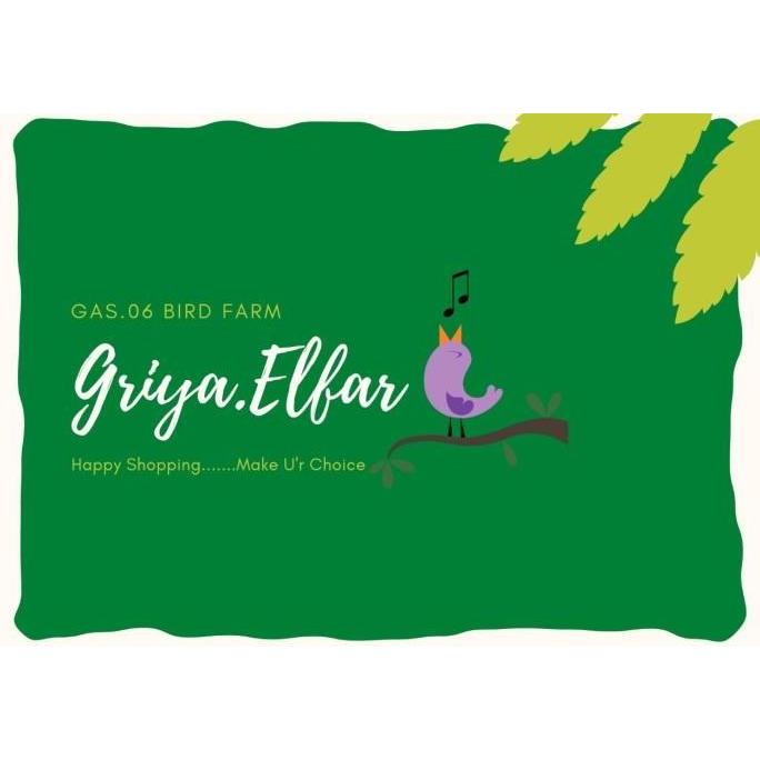 [800 GRAM] JUMBO KUACI/KWACI/BIJI BUNGA MATAHARI MENTAH