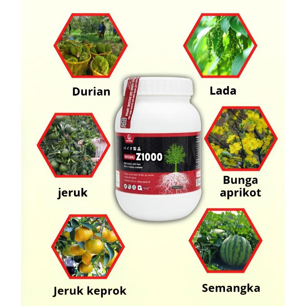 Bisa Cod 1Kg Dasshu Z1000 Pupuk Import Japan - Beli 3 Gratis 1 ><