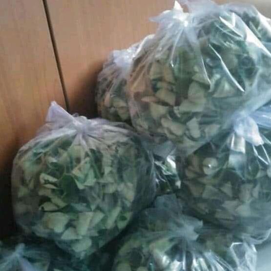 Daun bidara kering 1 kg super