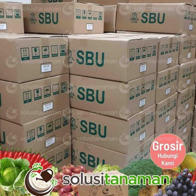 Benih Sayuran Kailan Kale @20gr - Biji Bibit Sayur Tanaman Hidroponik