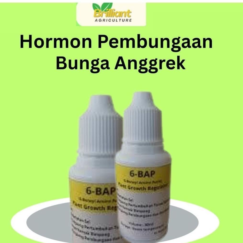 Bisa Cod Super Murah Hormon Anggrek 6 Bap Kuning 30 Ml (Cocok Untuk Penumbuhtunas &Pembungaan Anggre