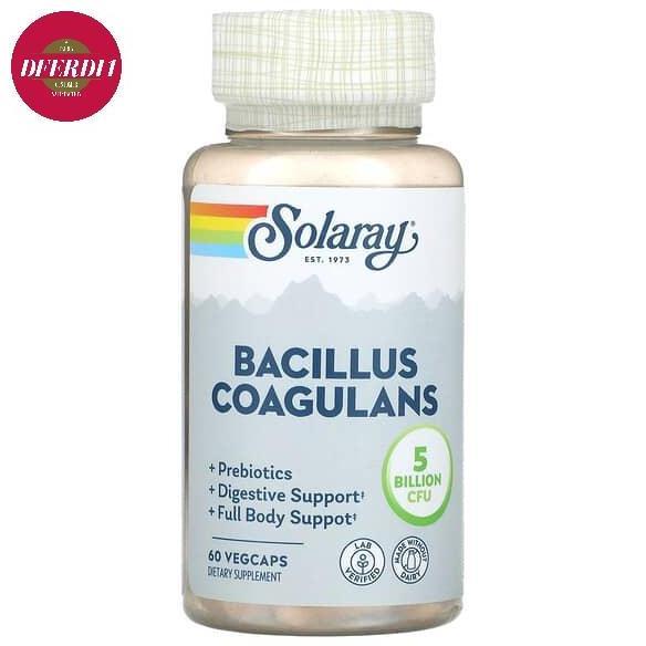 Solaray Bacillus Coagulans 2.5 Billion 60 Veg Caps