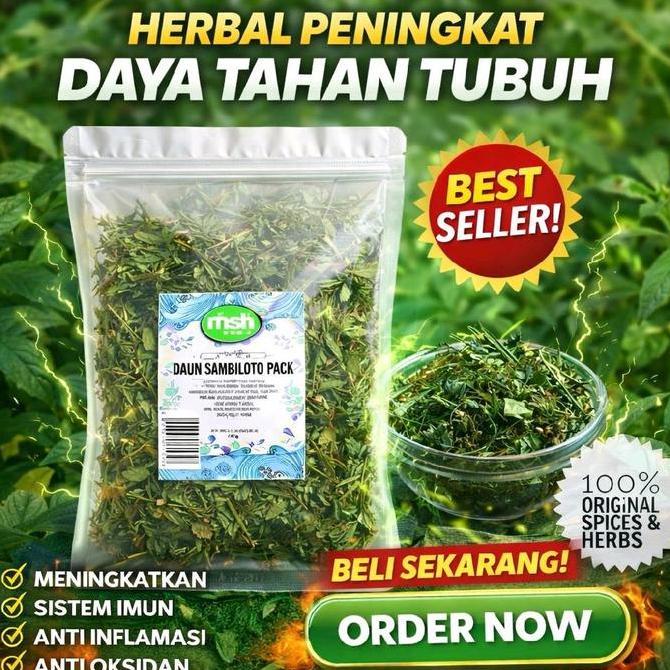 Backto- Sambiloto Kering Original 50Gr , Sambiloto Kering Murni , Sambiloto Herbal Asli