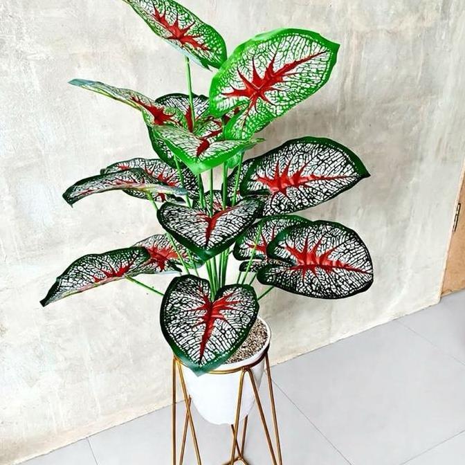 Kantowi- Cod / Keladi Merah Artificial Jumbo Latex Pot Tanaman