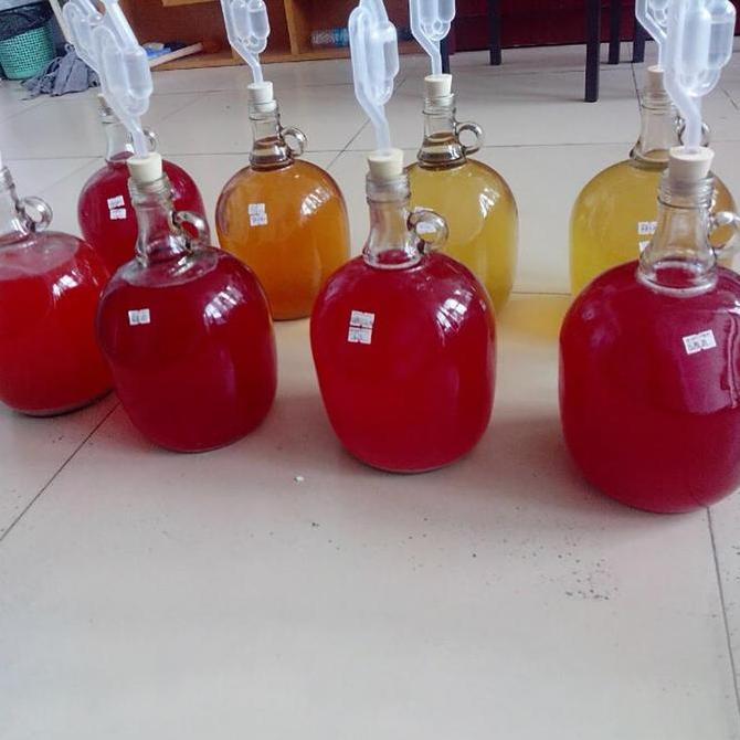 SIMATEKNO Katup Airlock / Home Brew Wine Fermentasi / Airlock Check Valve / Fermentasi Wine Bir