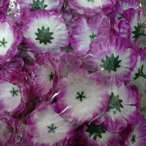 bunga suyok (100pcs)