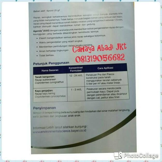 Atkx- Anti Rayap Agenda 25Ec