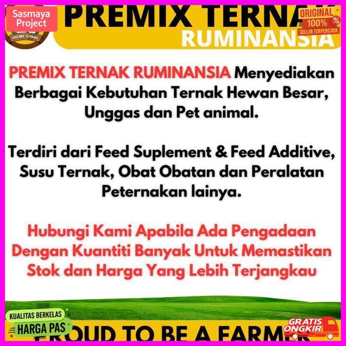 Quality Vitamin B12 500 Ml Usfa - Vitamin B12 Injeksi Untuk Hewan Sapi Kambing Domba Babi Dll