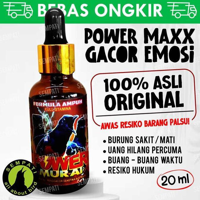 Kicaudor- Power Murai Bmw Vitamin Obat Gacor Penggacor Burung Murai Batu