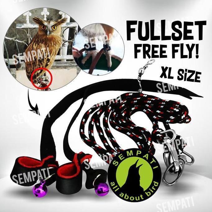 Kicaudor- Sempati Anklet Celepuk Ukuran Xtra Large Xl Angklet Celepuk Tali Kaki Burung Hantu Buffy F