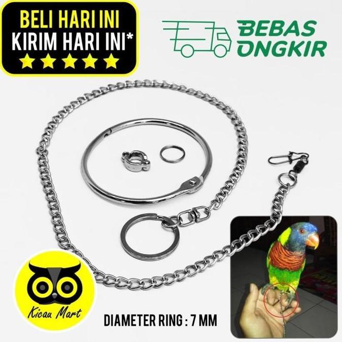Kicaudor- Kicau Mart Rantai Free Flying Burung Nuri Puter Pelung Ring Kaki Burung 7 Mm Rtfl7M