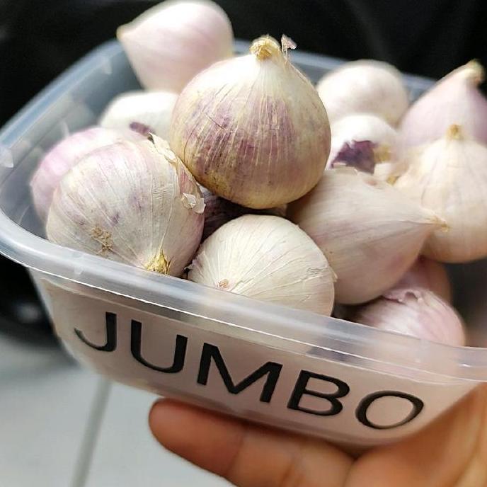 Bawang putih tunggal 1 kg