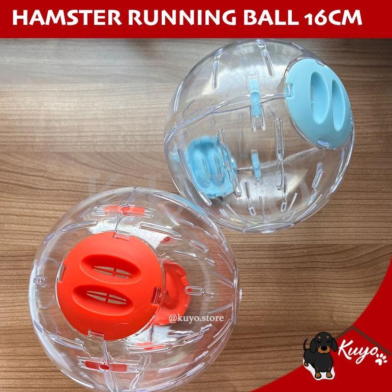 Readyy Stok Hamster Running Ball 16cm - Mainan Bola Lari Besar Transparan Bening Hewan Hamster Cryst