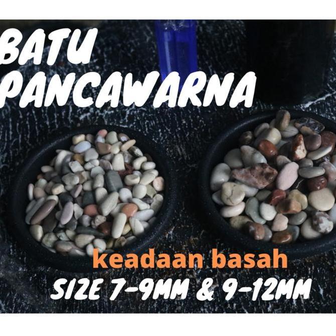 Batu Alam Hias Tanaman Pot || Pancawarna Karungan Via Cargo murah