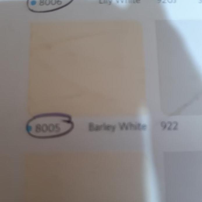 CAT TEMBOK VINILEX NIPPON PAINT WARNA BARLEY WHITE KODE 8005 ISI 5KG