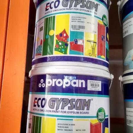 propan eco gypsum 5kg cat