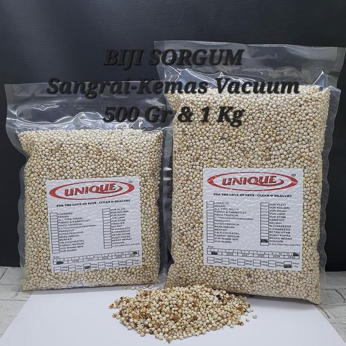 Dbutsu- Biji Sorgum Putih Sangrai Milo Seed Pakan Burung Puter Derkuku Lovebird Medium Parrot Merpat