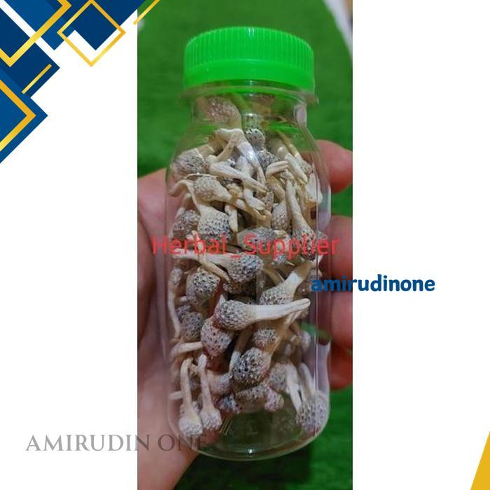 EMPOT AYAM PUTIH PREMIUM  EFEKTIF DAN AWET MUDA BEST SELLER