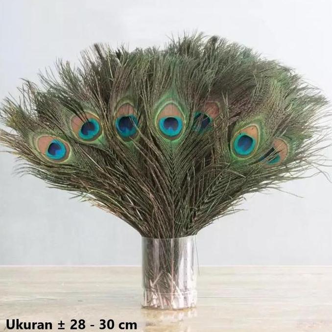 Triple W Dummy Fake Peacock Feather Bulu Burung Merak Dekorasi Foto