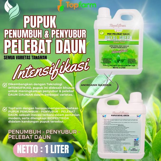 Pupuk Pelebat Daun Poc Daun Pupuk Cair Penyubur Tanaman Booster Pelebat Daun Hijau Pupuk Organik Cai