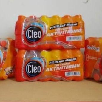 Air Minum "Cleo" 220 ml botol mini