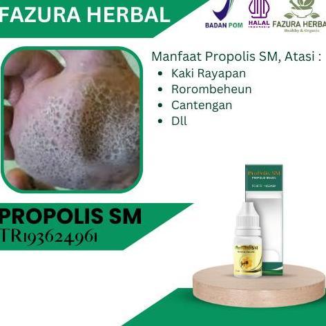 Propolis SM - Obat Kaki rayapan, Obat rorombeheun, Obat cantengan