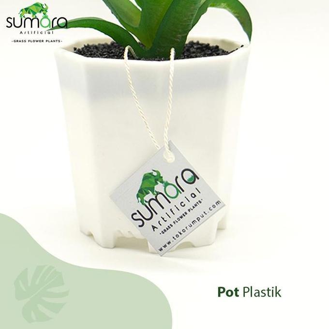 TANAMAN SINTETIS / TANAMAN PALSU / TANAMAN ARTIFICIAL LIDAH BUAYA MINI