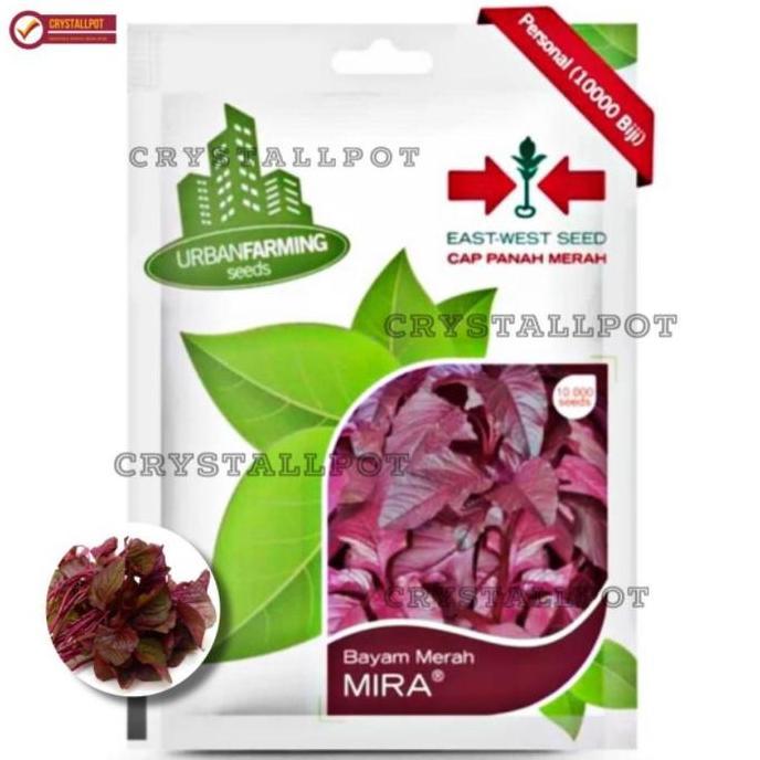 Abcd- Benih Bibit Bayam Merah Mira Cap Panah Merah - Bayam Merah Mira
