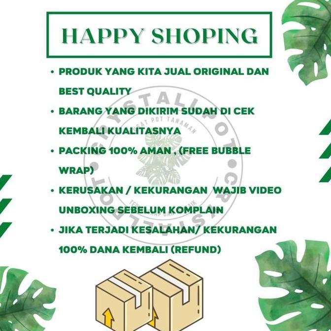 Abcd- Pot Bunga Dinding Lotus Lionstar Warna Putih Keramik 21Cm + Tatakan