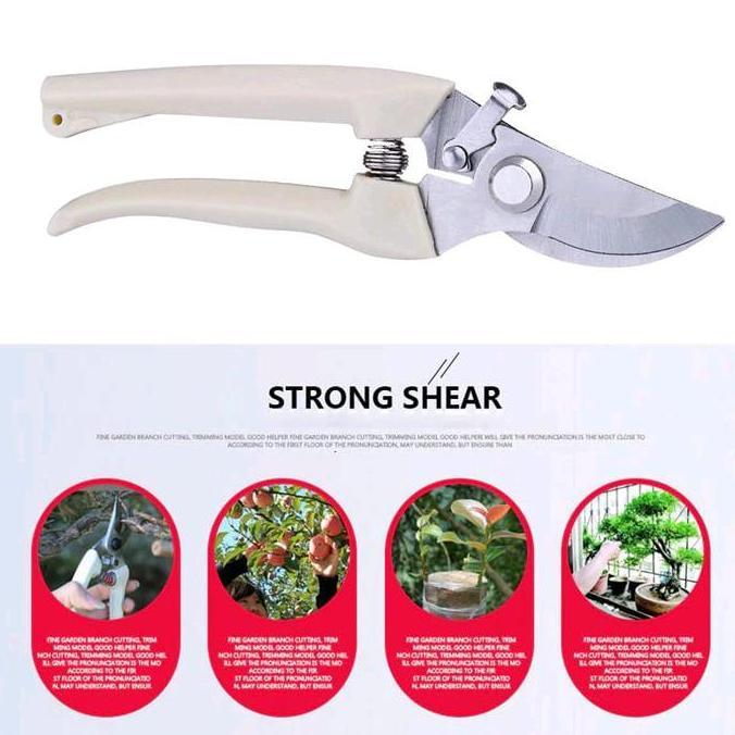 gunting dahan ranting pruning alat potong dahan ranting stek pruning