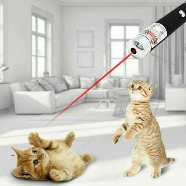 CHICKLEP Gantungan Kunci Red Laser Pointer Tunjuk Senter Lampu Mini 2in1 2 in 1 Red Dot Mainan Anak 