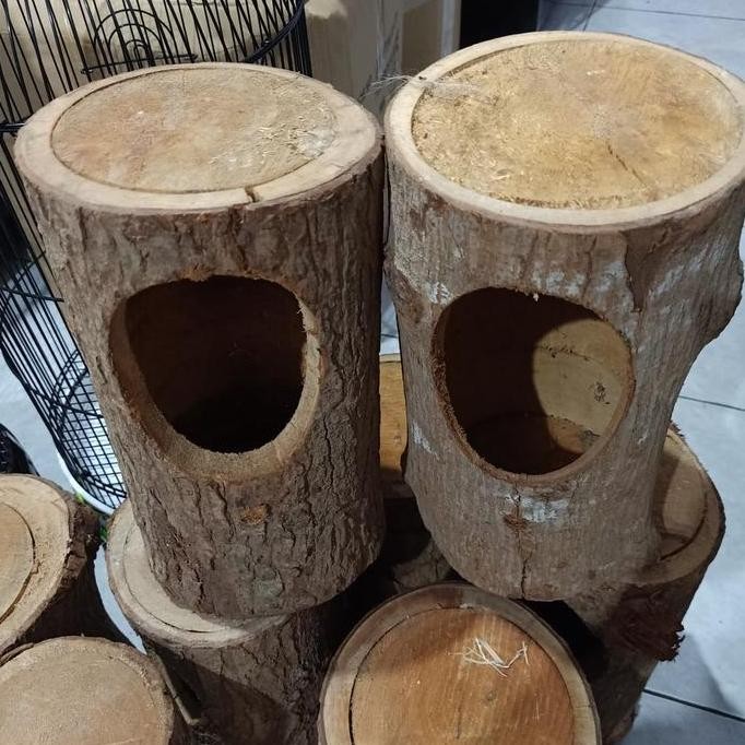 Glodok pohon burung 2pcs - glodok murai kacer parrot promo beli 2