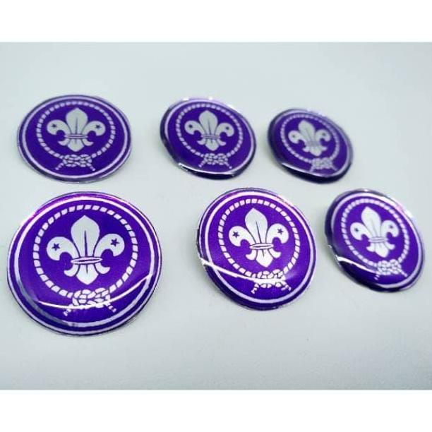 Pin Pandu Pramuka Putri Viber Tanda Pandu Pramuka Pin Wosm Putri