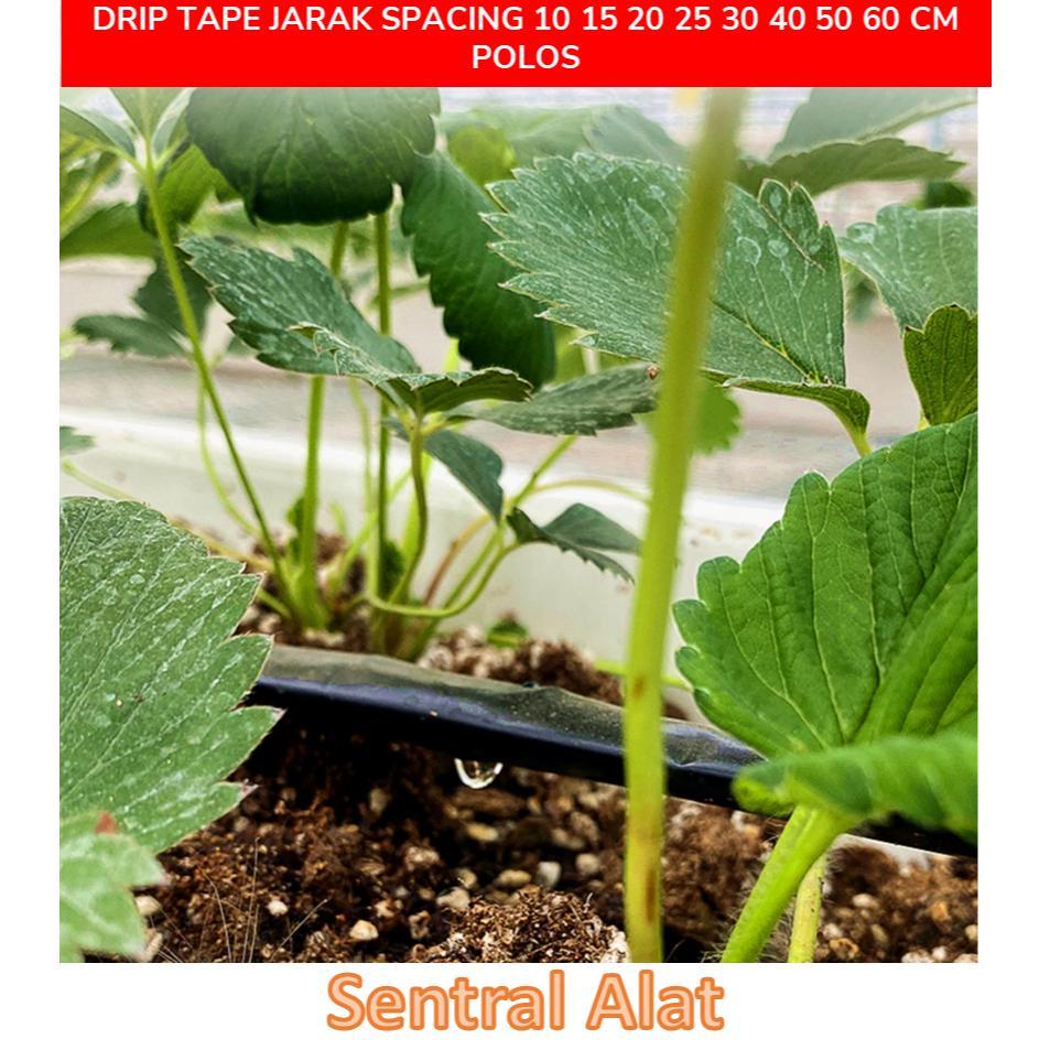 Promo Cod Selang Drip Tape Tetes 16 Mm, Emitter Jarak Spacing 10 15 20 25 30 40 50 60 Cm Dan Polos .