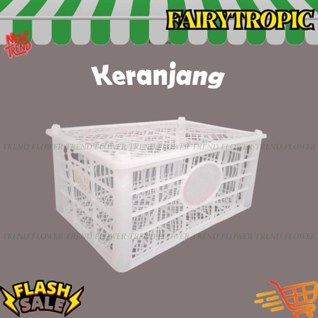 COD Keranjang Buah Bekas Putih Tutup Plastik - Wadah Penyimpanan Storage