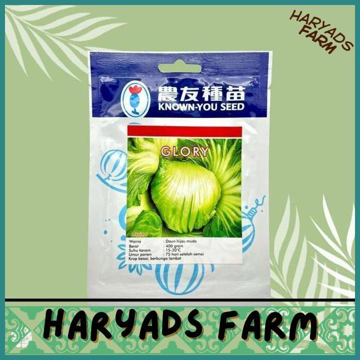 HF (1 PACK) BENIH SAWI PAHIT GLORY MUSTARD SAWI ASIN SEEDS - KNOWN YOU SEED KYS - 10 GRAM - HARYADSF