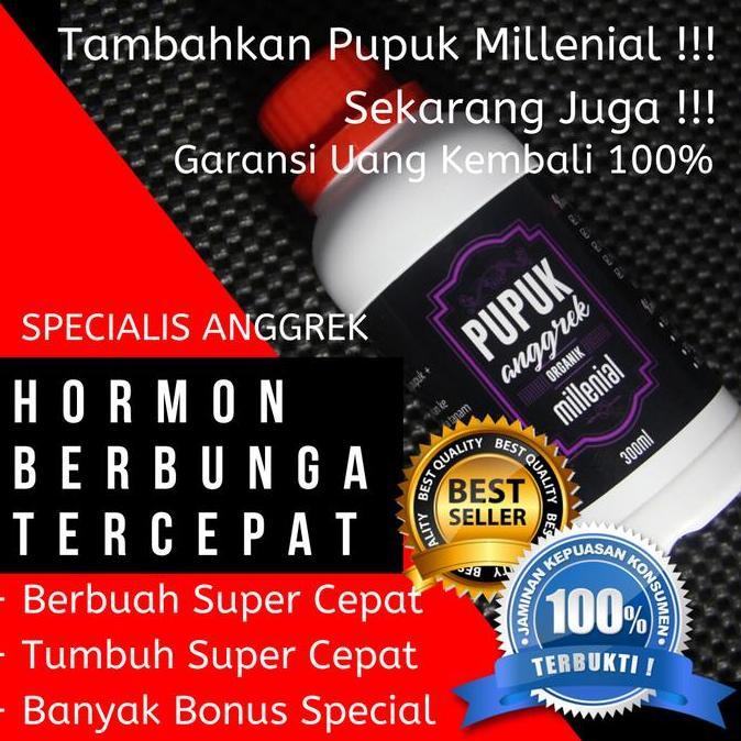 Terlaris Pupuk Alami Untuk Anggrek Bulan, Pupuk Anggrek Bulan Terbaik