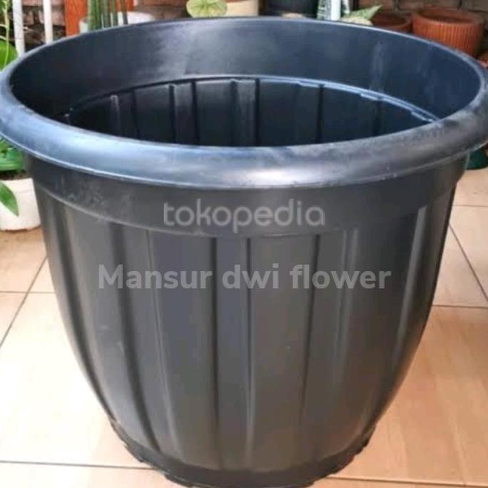 Terlaris Pot Hitam 70Cm Jumbo Karet