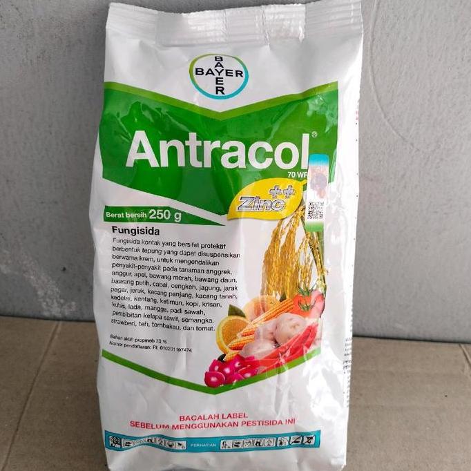 Antracol 70 WP 250gram Bahan Aktif Propinep plus zick dan Zpt Fungisida Untuk Mencegah Jamur Tanaman