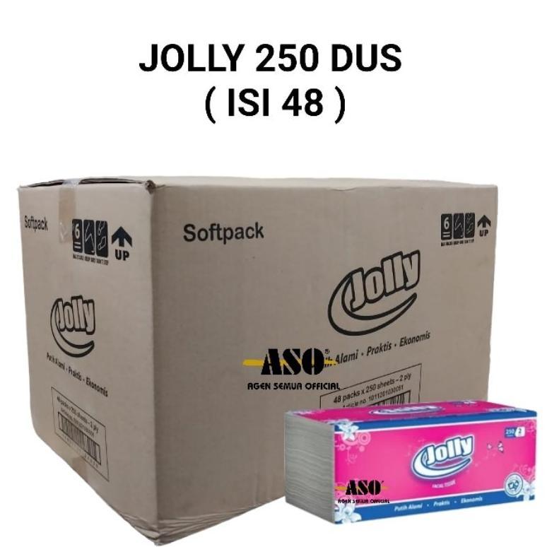 DUS Tisu Tissue Jolly 250 Sheet DUS ( ISI 48 )