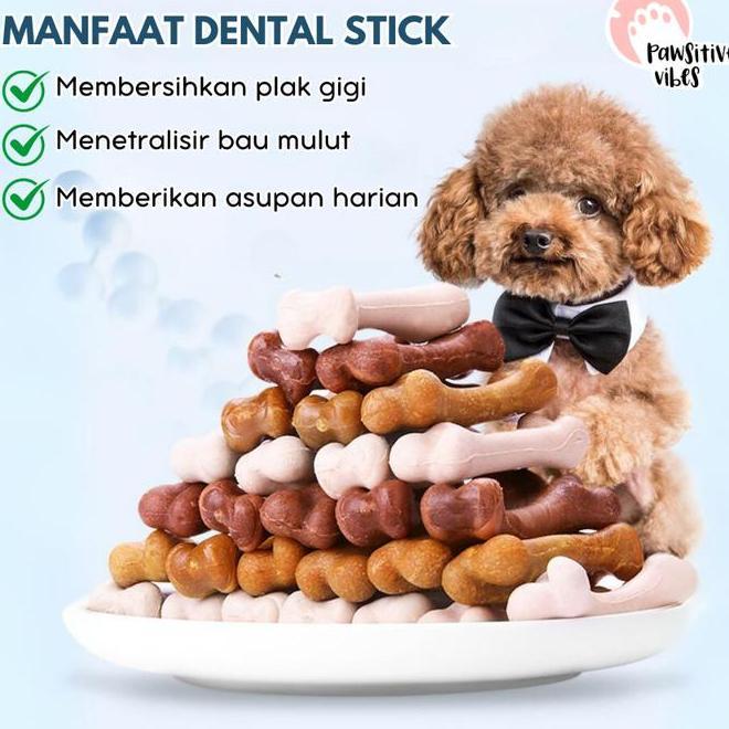 Dental Sti Sna Anjing Pembersih Karang Gi Penghilang Bau Mulut Dentalsti Untuk Anjing Penghilang Bau