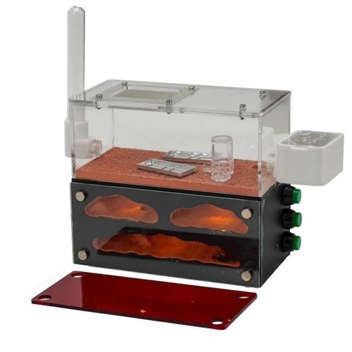 TERBARU Formicarium Ecological Premium, Formicarium akrilik, Formicarium kaca, ants nest, ant, gypsu