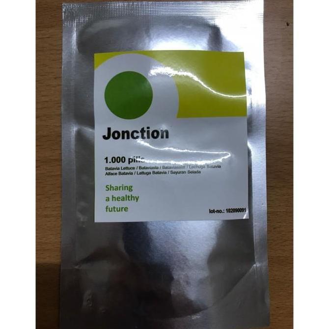 Bibit Benih Selada Batavia Jonction Junction RZ Rijk Zwaan 1000 Pills