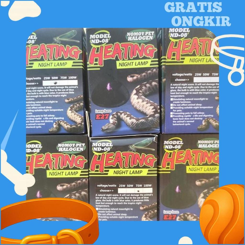 Night Lamp Nomoy, Lampu Malam Nomoy, Night Lamp Tortoise & Reptile