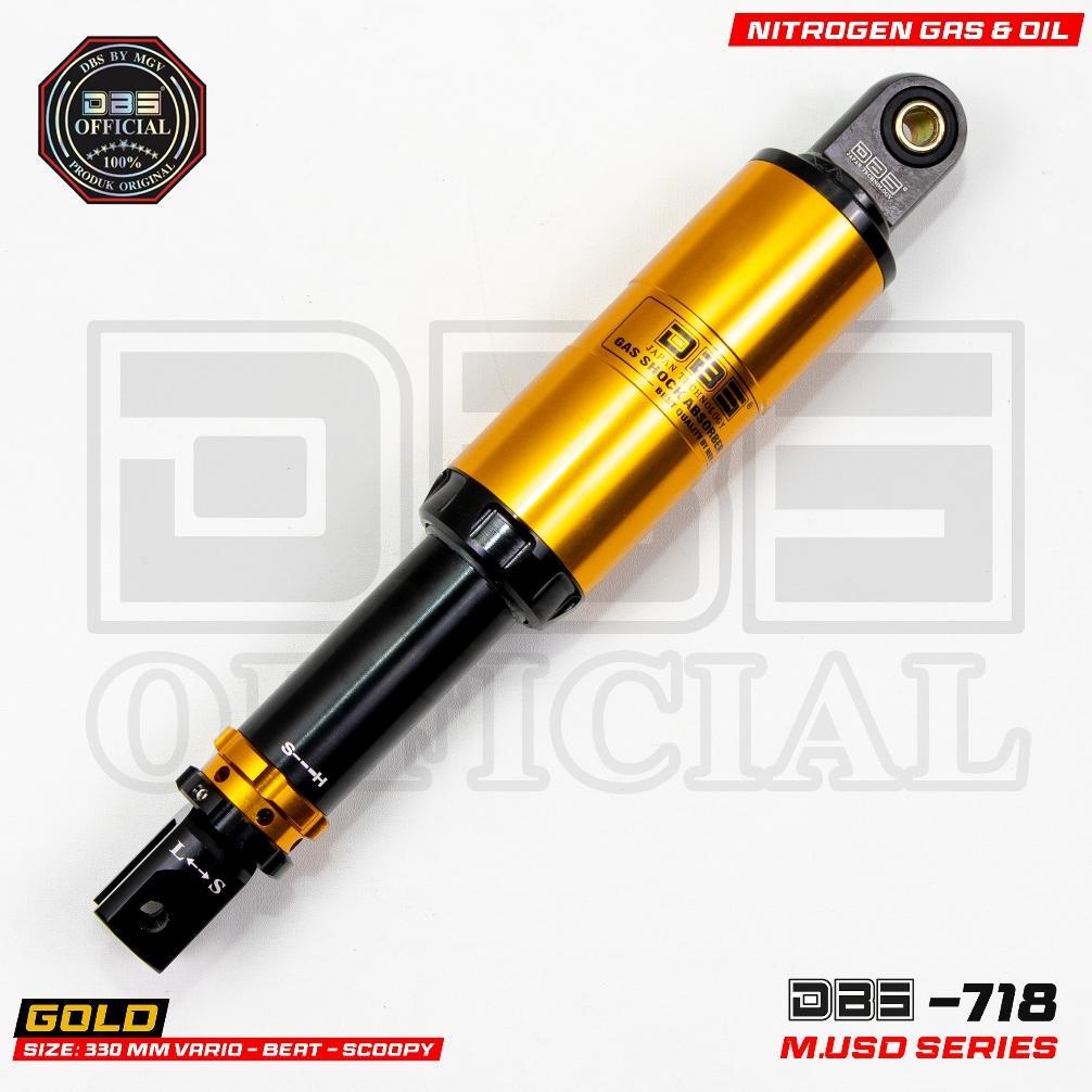 DBS 718 USD SERIES Vario 125 Vario 150 Vario 160 X Ride 330MM