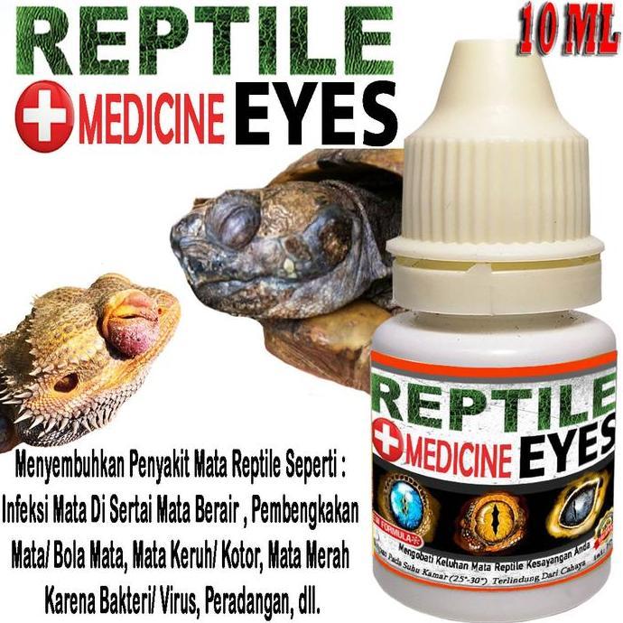 janjuko_3 - reptile tetes mata ular gecko kadal sulcata kura turtle tortoise | tetes mata reptil ula